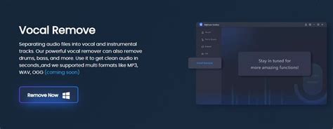 Vocal Remover and Isolation [AI].